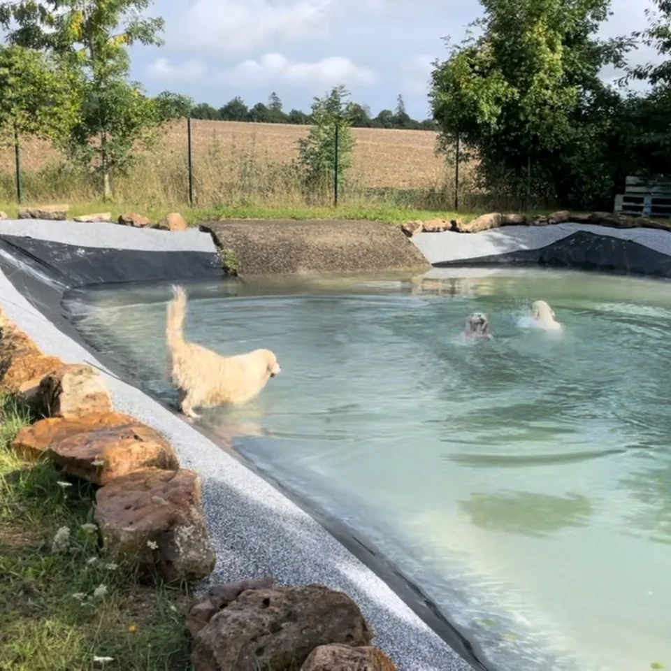 Doggy Lodge - La vallée du Goldor - Pension canine - Hauts-de-Seine pet otel görseli 3