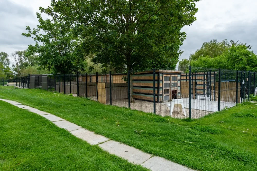 La Coquerie - Pension pour Chiens, Toilettage, éducation canine & Vente d'alimentation Canin et félin - Hauts-de-Seine pet otel görseli 7