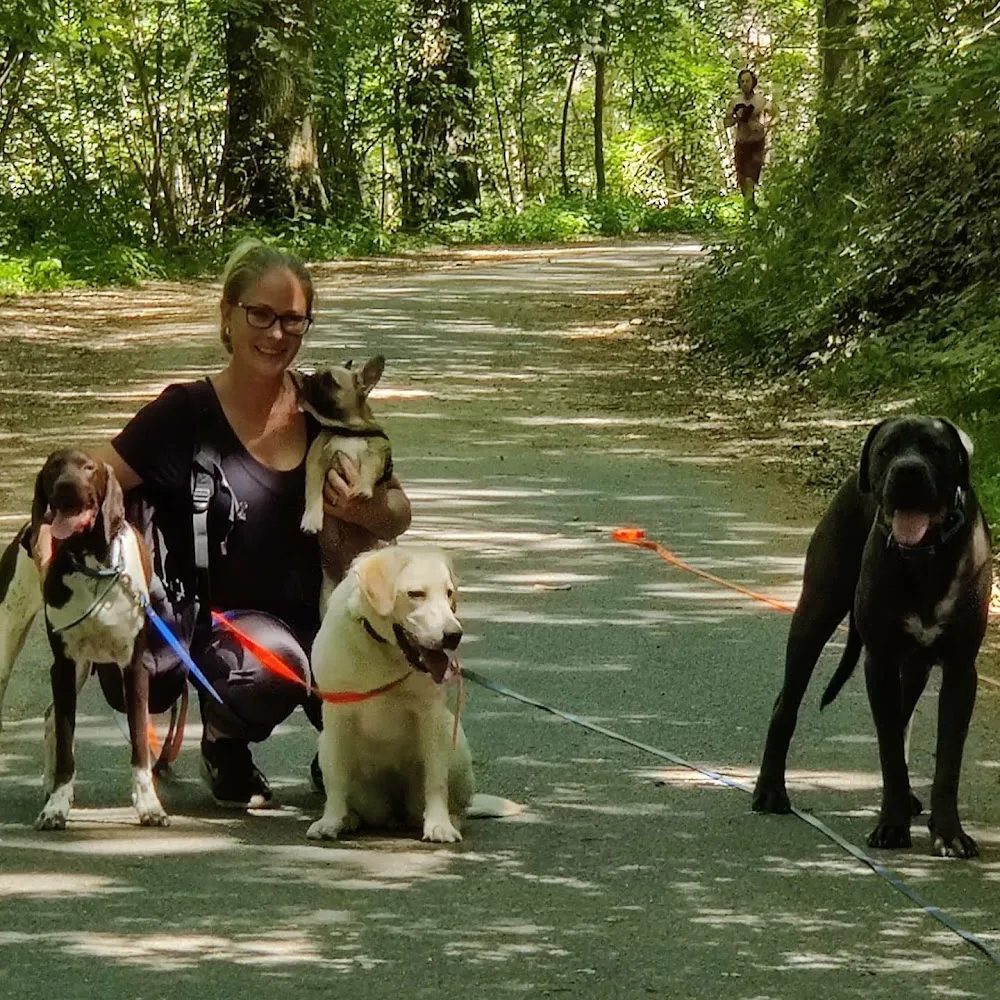 Les Compagnons de Lili - Hauts-de-Seine pet otel görseli 2