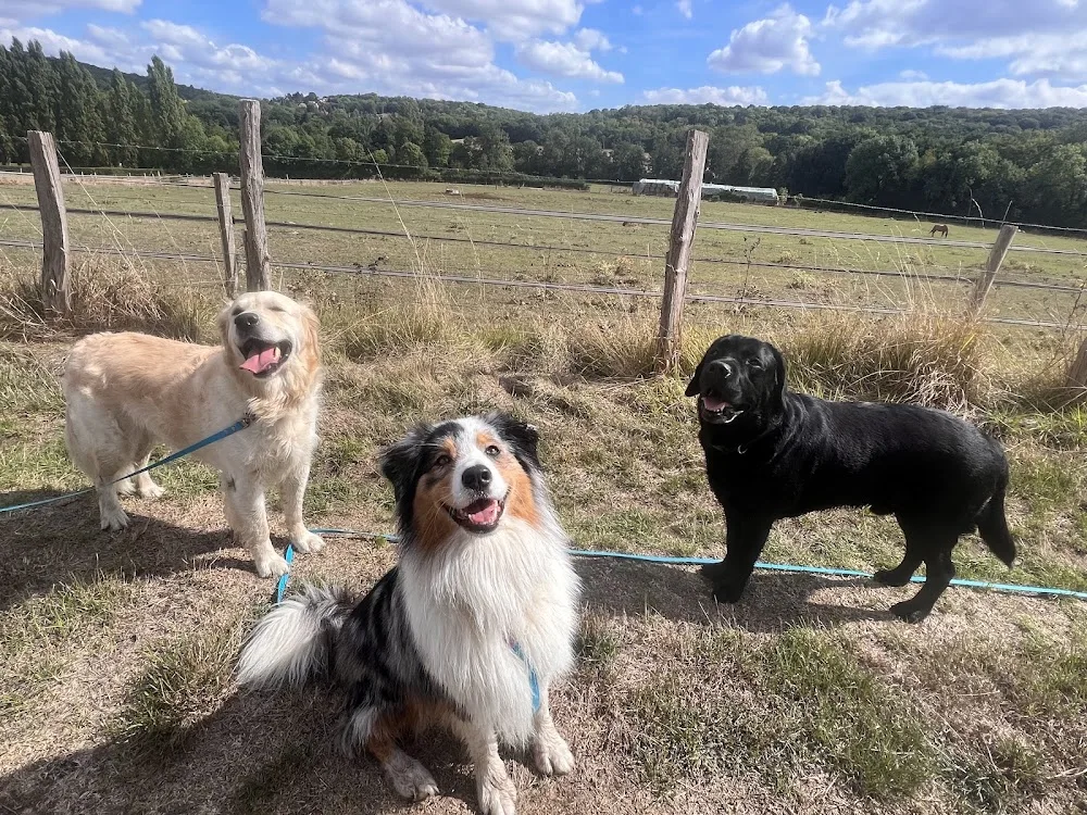 Les Compagnons de Lili - Hauts-de-Seine pet otel görseli 11