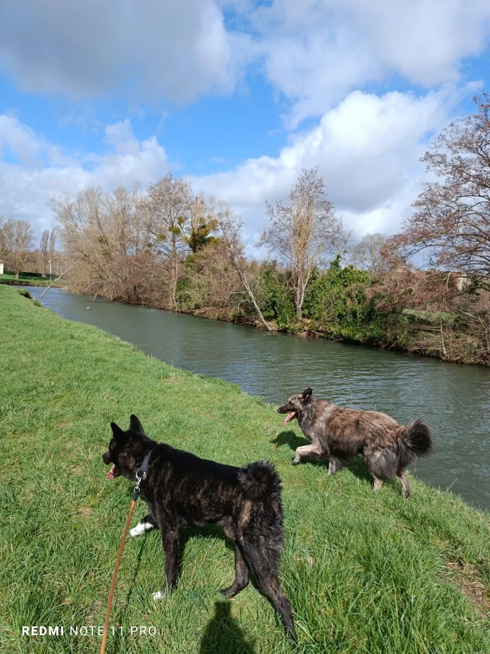 les Truffes Humides - Hauts-de-Seine pet otel