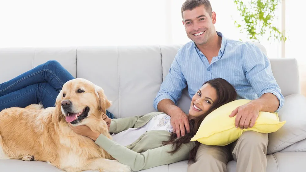 PASSION CANINE - LES 3S - Hauts-de-Seine pet otel