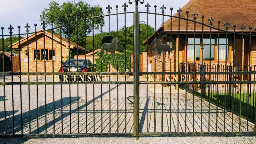 Brunswick Boarding Kennels - Havering pet otel görseli 3