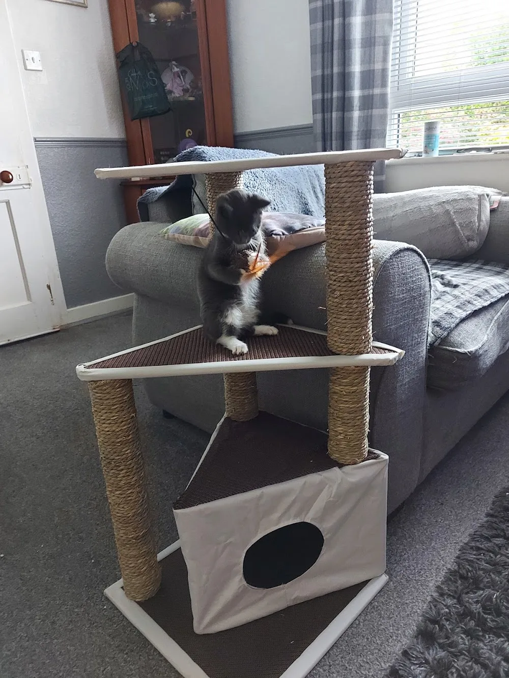 Arthurshiel Kennels - Hawick pet otel
