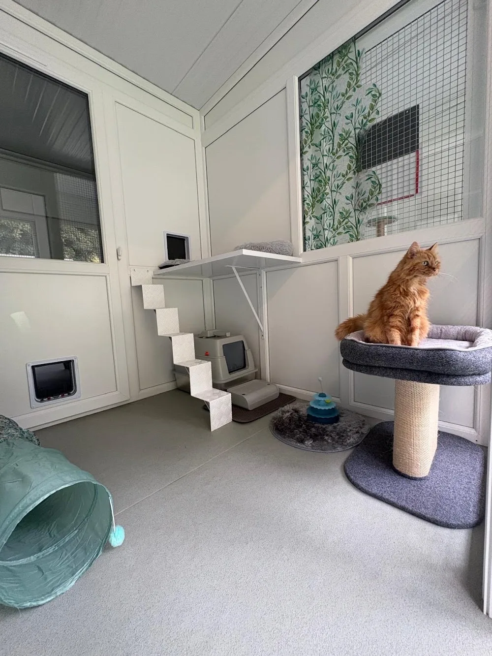 Bucklands Nest & Cattery - Hawick pet otel görseli 3