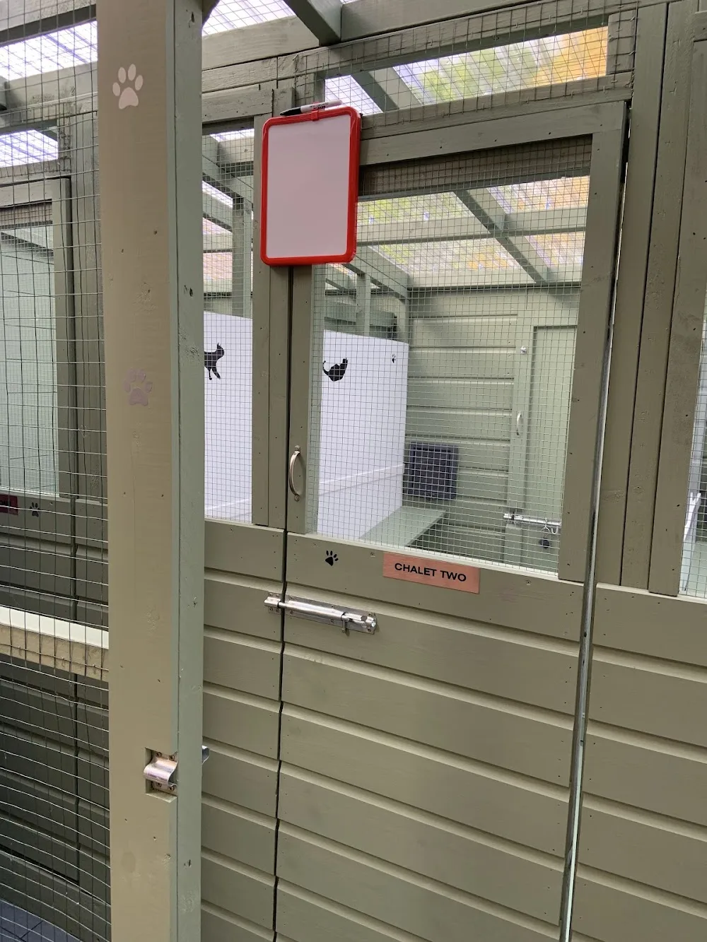 Christine's Cat Care, Boarding Cattery - Hawick pet otel görseli 3