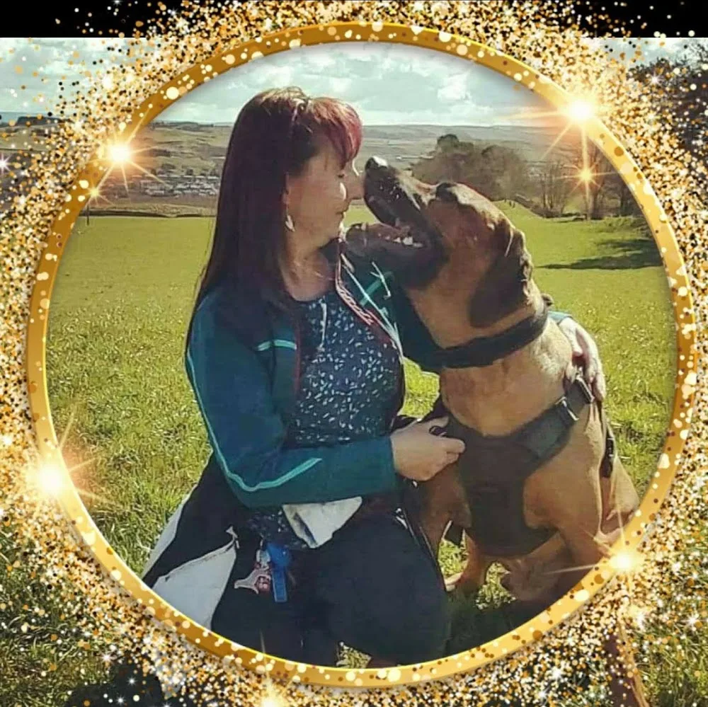 Fellside Kennels - Hawick pet otel