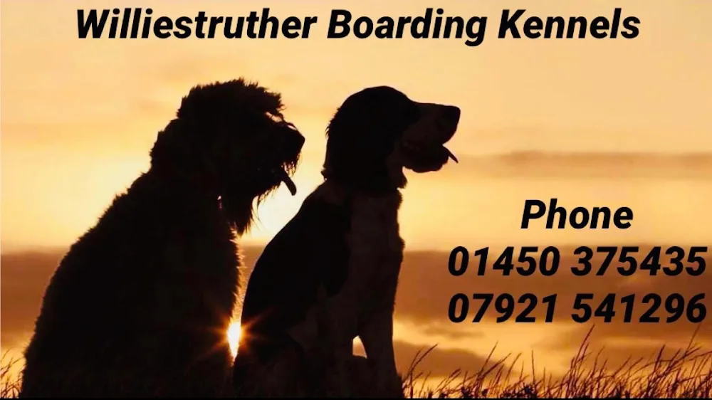 Williestruther Boarding Kennels - Hawick pet otel