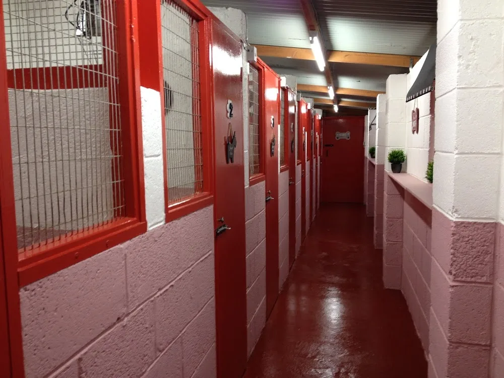Williestruther Boarding Kennels - Hawick pet otel görseli 3