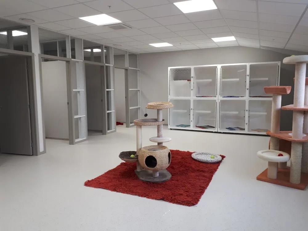 CatsOne Cattery - Hawke's Bay pet otel