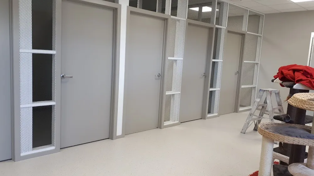 CatsOne Cattery - Hawke's Bay pet otel görseli 3