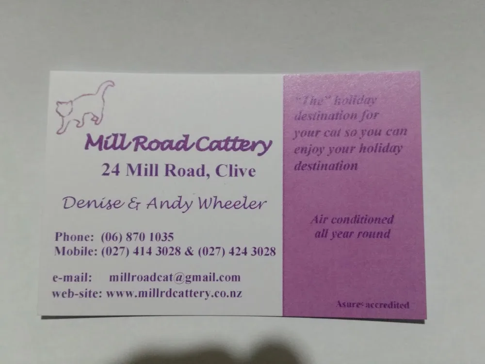 Mill Rd Cattery - Hawke's Bay pet otel görseli 3