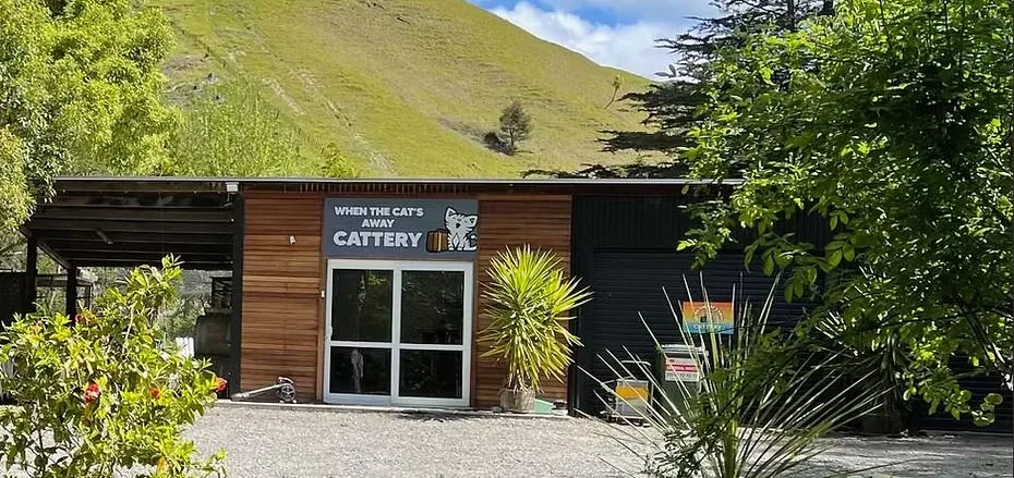 When The Cat's Away Cattery - Hawke's Bay pet otel görseli 2