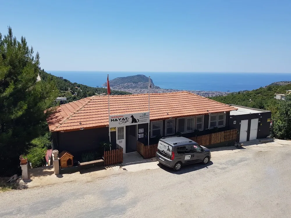 Hayat Life - Cat & Dog Hotel - Alanya pet otel görseli 6