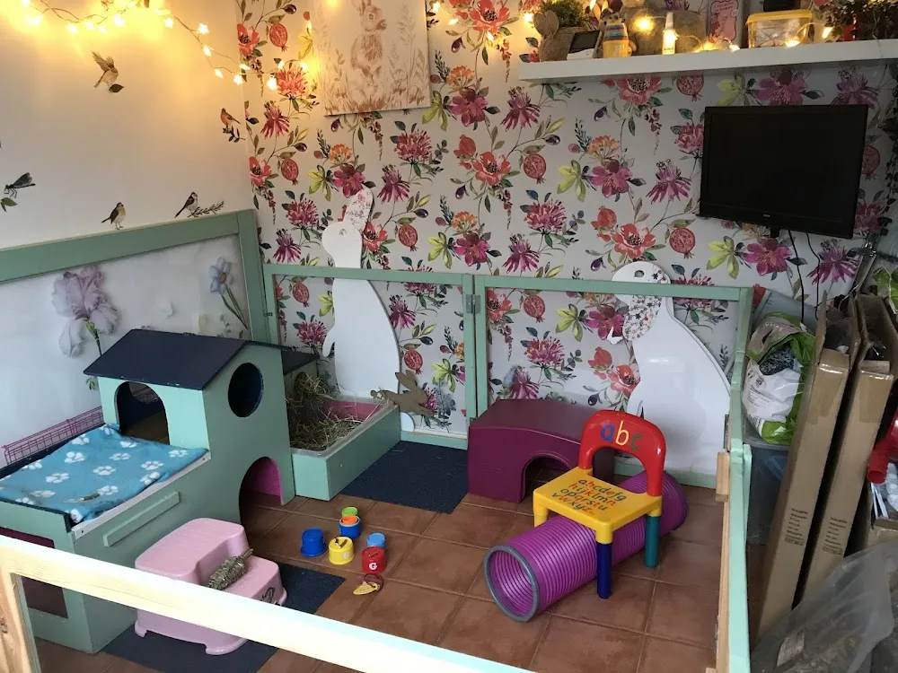 Applewood Rabbit Boarding - Haywards Heath pet otel