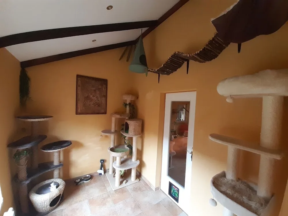 Katzenpension Luna - Heidelberg pet otel görseli 2