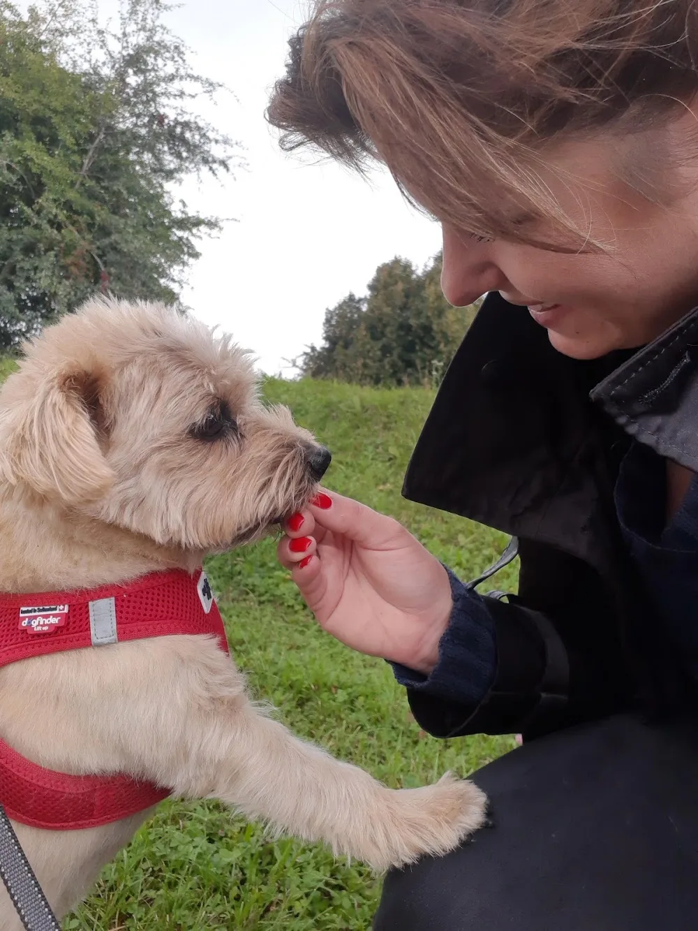Glückspfötchen mobile Tierbetreuung - Helmstadt-Bargen pet otel görseli 3