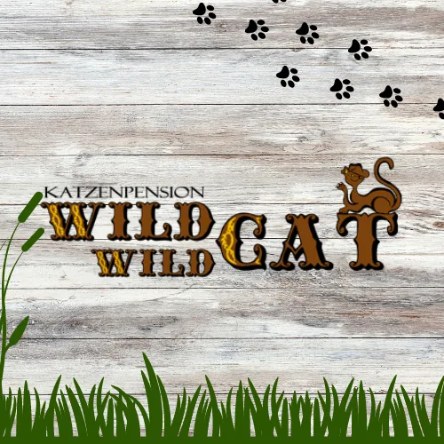 Katzenpension Wild Wild Cat - Helmstadt-Bargen pet otel