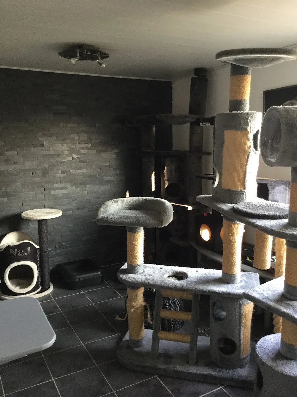 Katzenpension - Helmstadt-Bargen pet otel görseli 3
