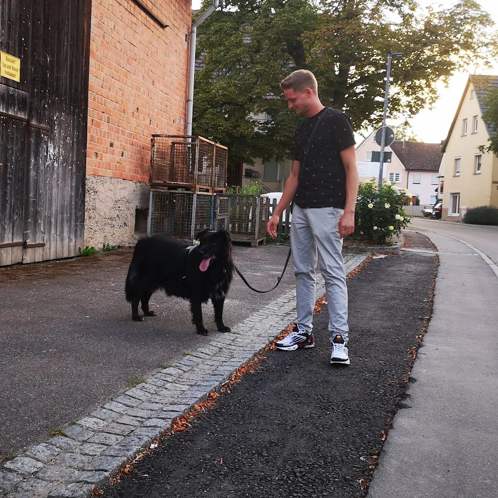 Tierbetreuung Brackenheim - Helmstadt-Bargen pet otel görseli 2