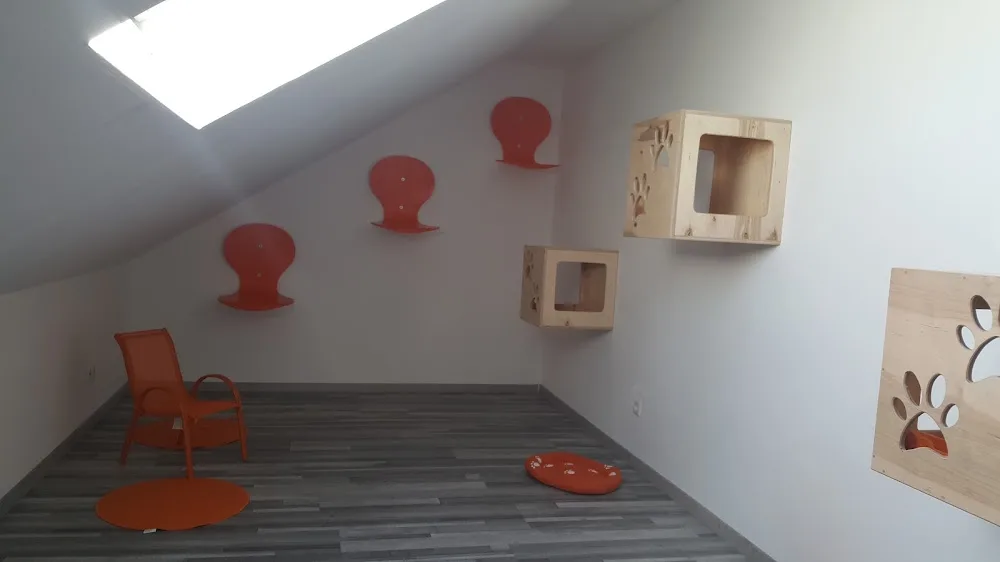 Tierpension Happy Feet - Helmstadt-Bargen pet otel görseli 6