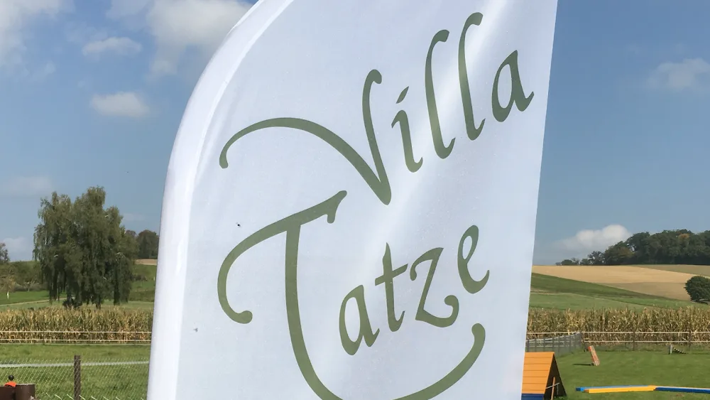 Villa Tatze - Hundepension - Helmstadt-Bargen pet otel görseli 6