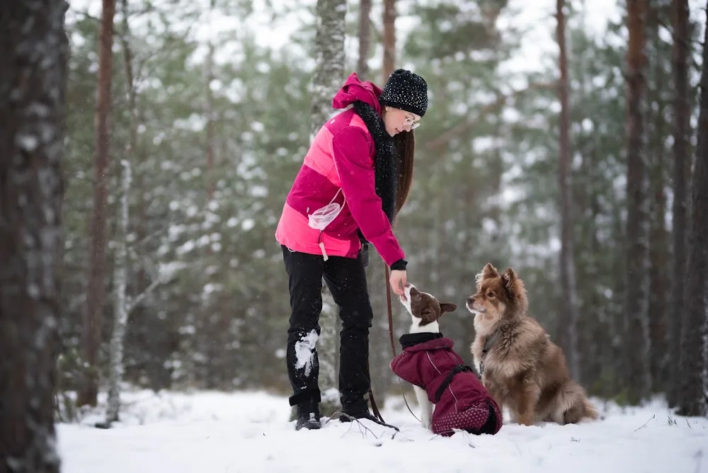 Eläintenhoitaja Sanna - Helsinki pet otel görseli 3