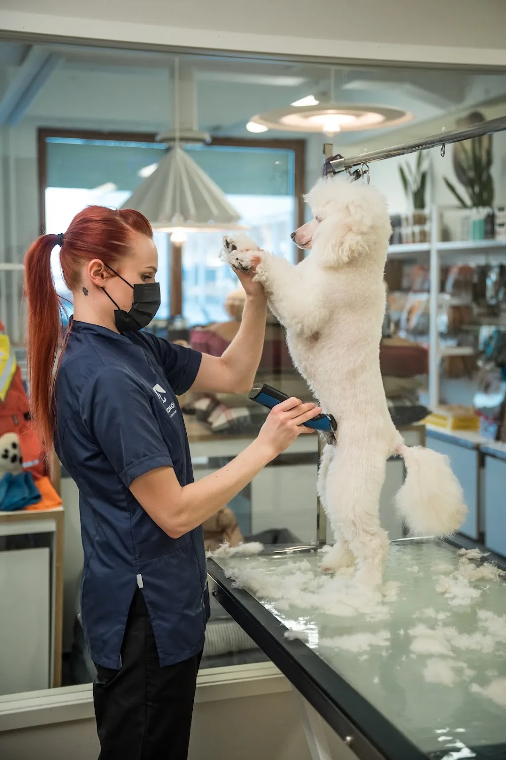 Kuonola, Etelä-Haaga - Helsinki pet otel