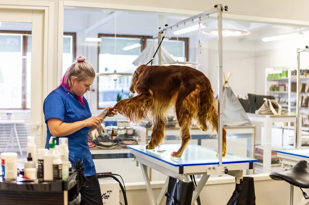 Kuonola, Etelä-Haaga - Helsinki pet otel görseli 3