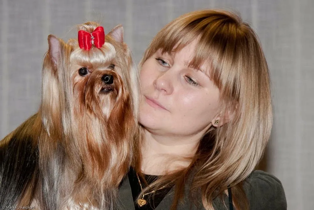 Twilight Saga kennel - Helsinki pet otel görseli 2