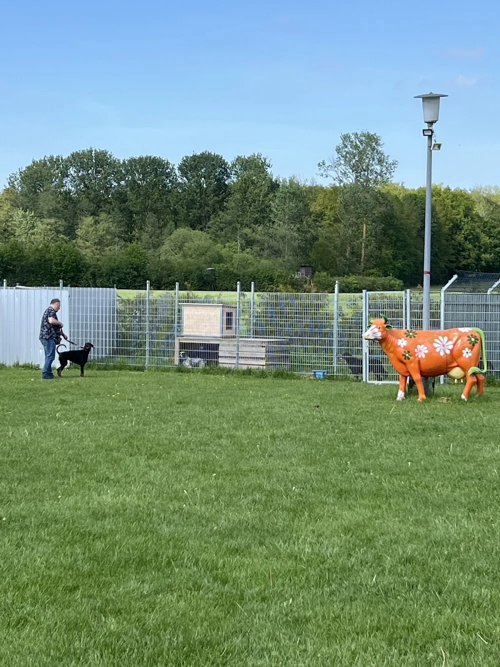 Hundewelt Duwensee - Henstedt-Ulzburg pet otel görseli 3