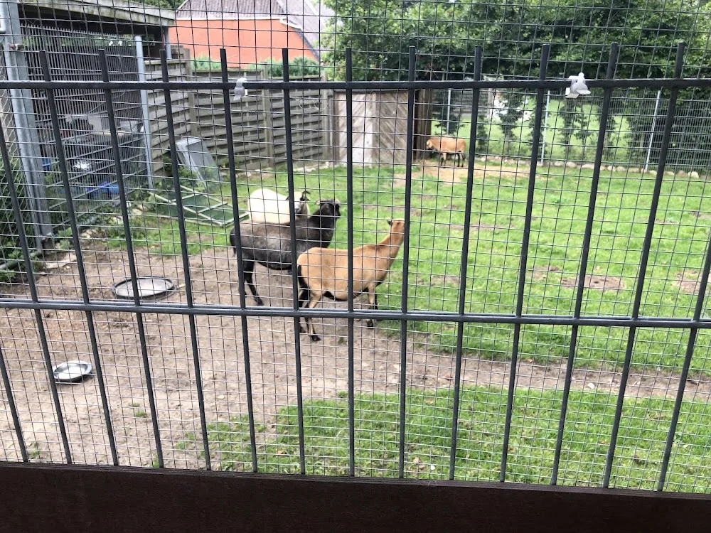 Tierpension Cora - Henstedt-Ulzburg pet otel görseli 3