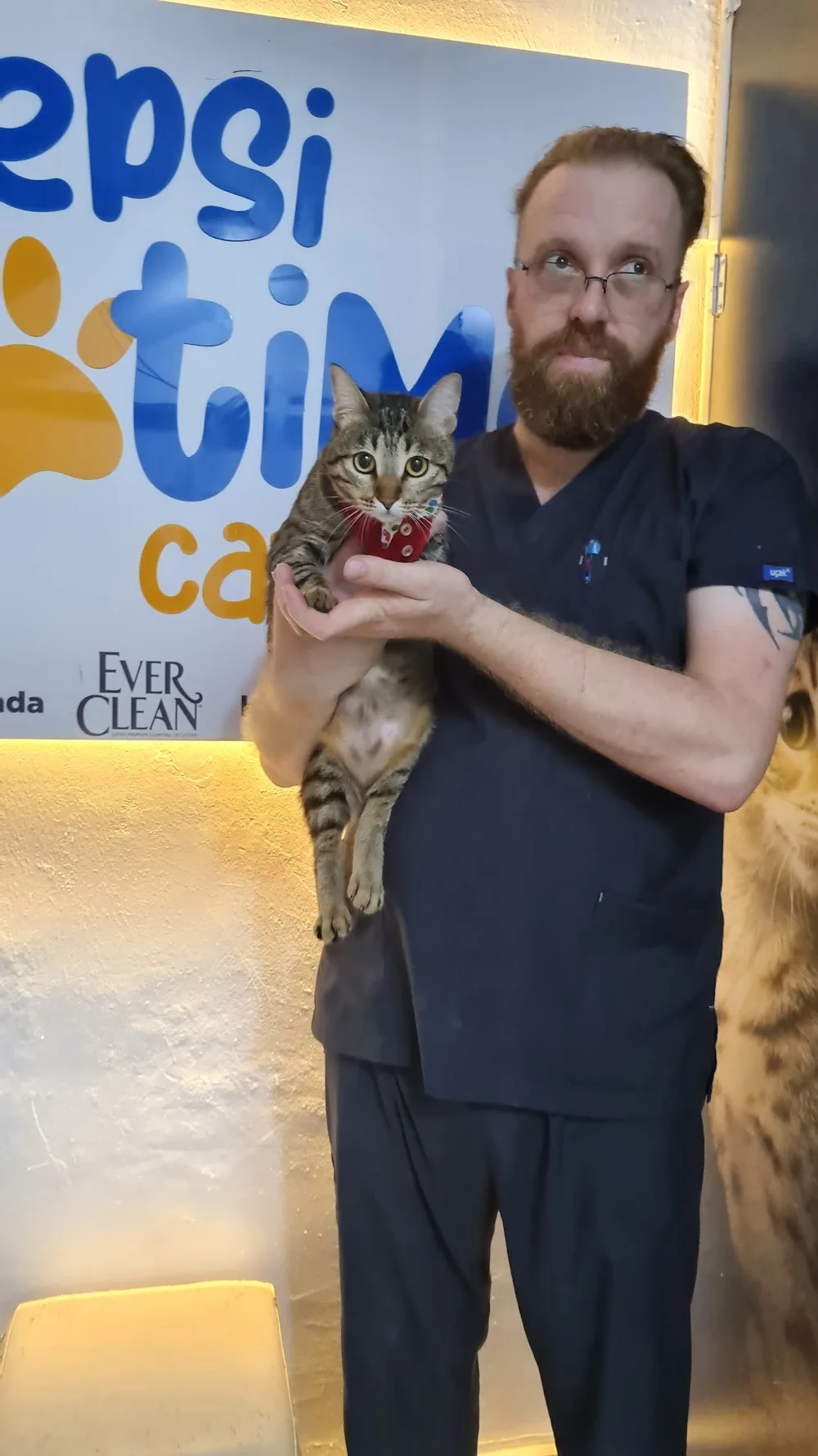 Hepsi Patime Cat's Hotel | Antalya Kedi Oteli - xPet Otel