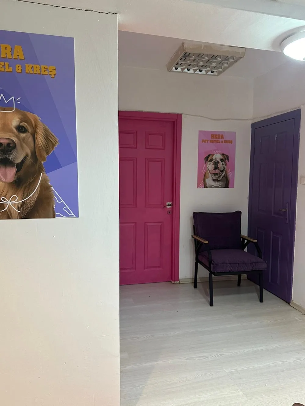Hera Pet Otel & Kreş - Ankara pet otel görseli 3