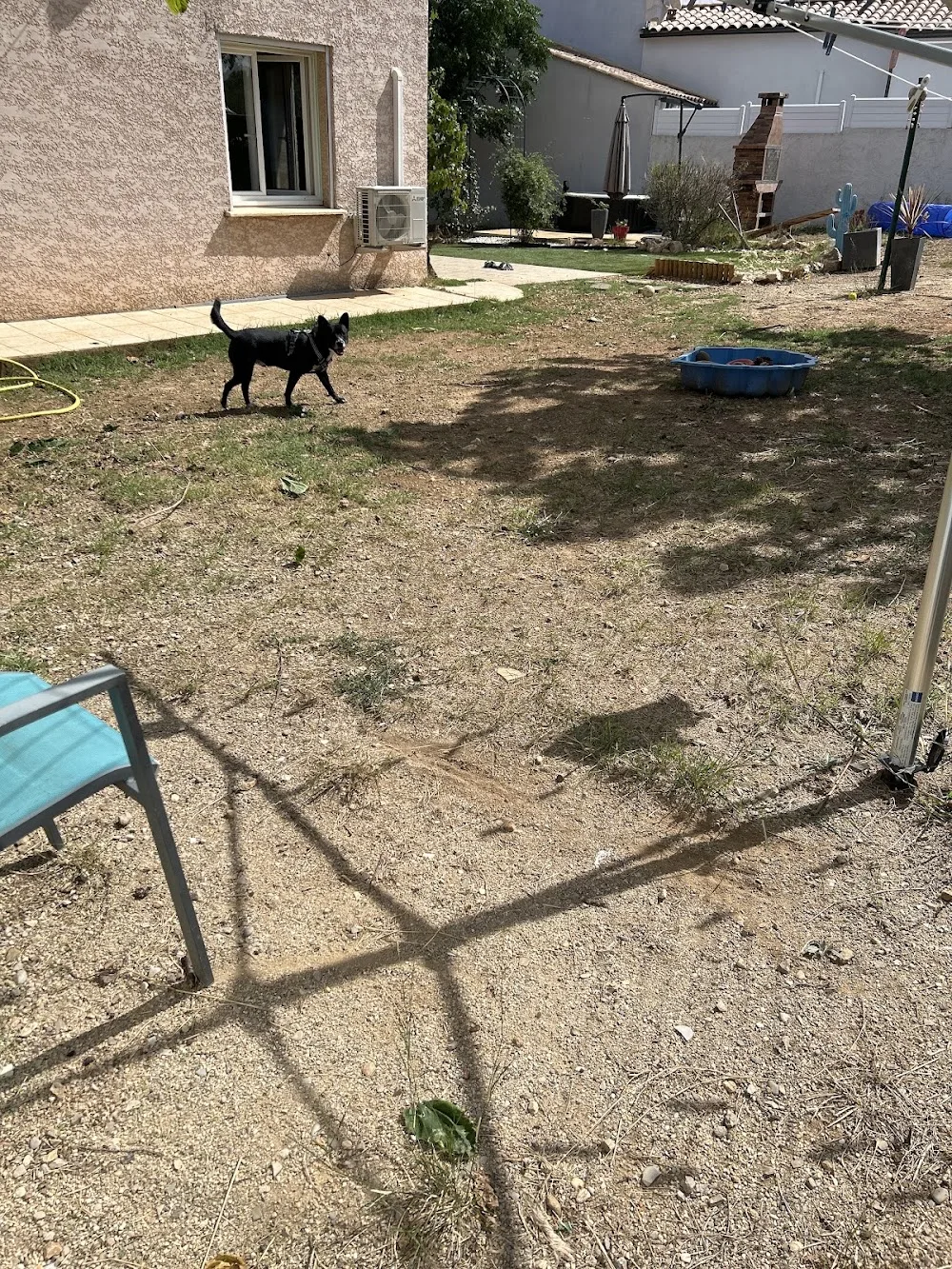 A la coloc des toutous Pension pour chien - Hérault pet otel