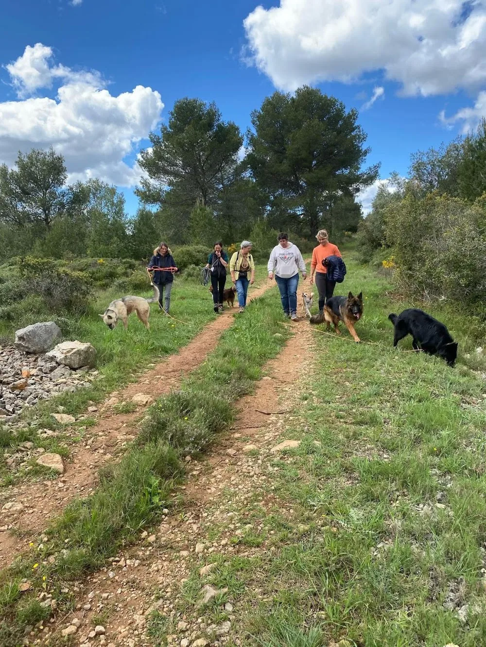 Cani-Cat - Éducation et Pension - Hérault pet otel görseli 3