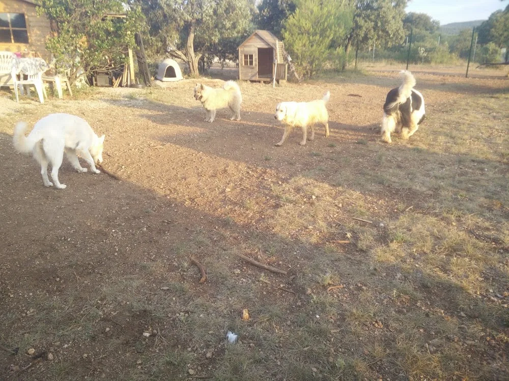 La Colo Boule de Poils - Hérault pet otel