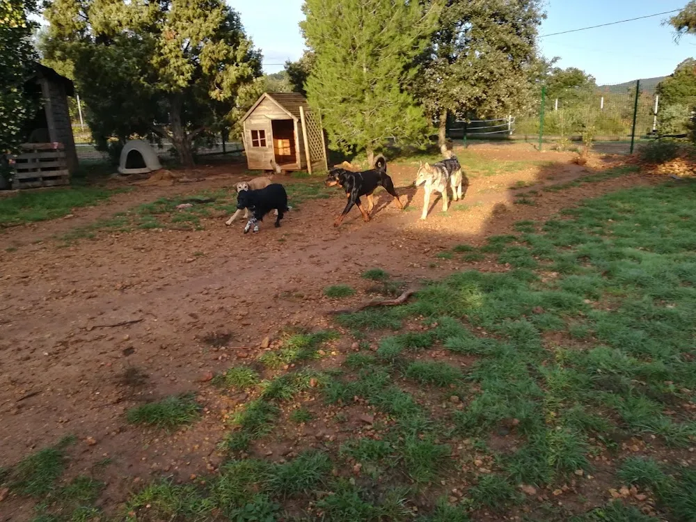 La Colo Boule de Poils - Hérault pet otel görseli 3