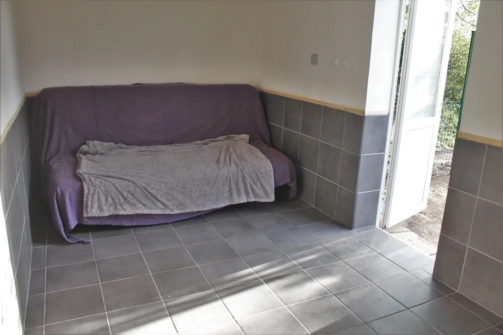 La garrigue des toutous - Pension canine dans l'Hérault (34) - Hérault pet otel görseli 3