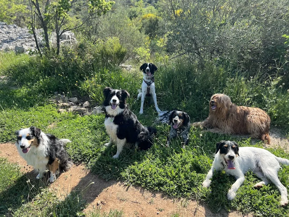 Mika Dog Lover - Hérault pet otel