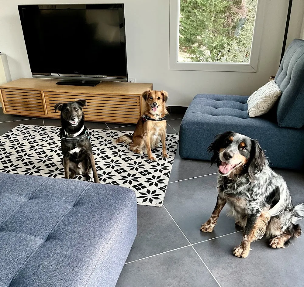 Mika Dog Lover - Hérault pet otel görseli 3