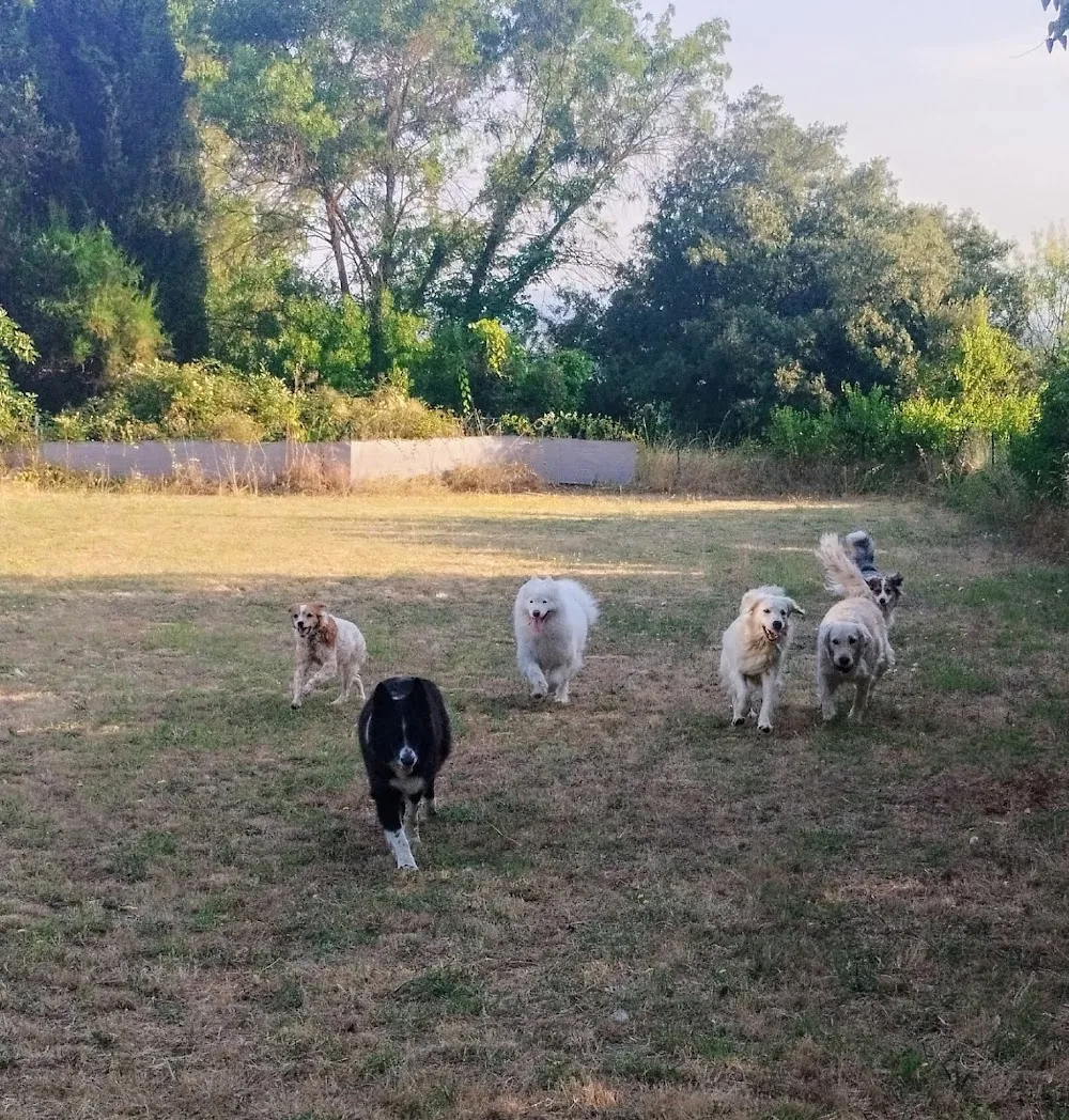 Pension canine L'oppid'aumes - Hérault pet otel