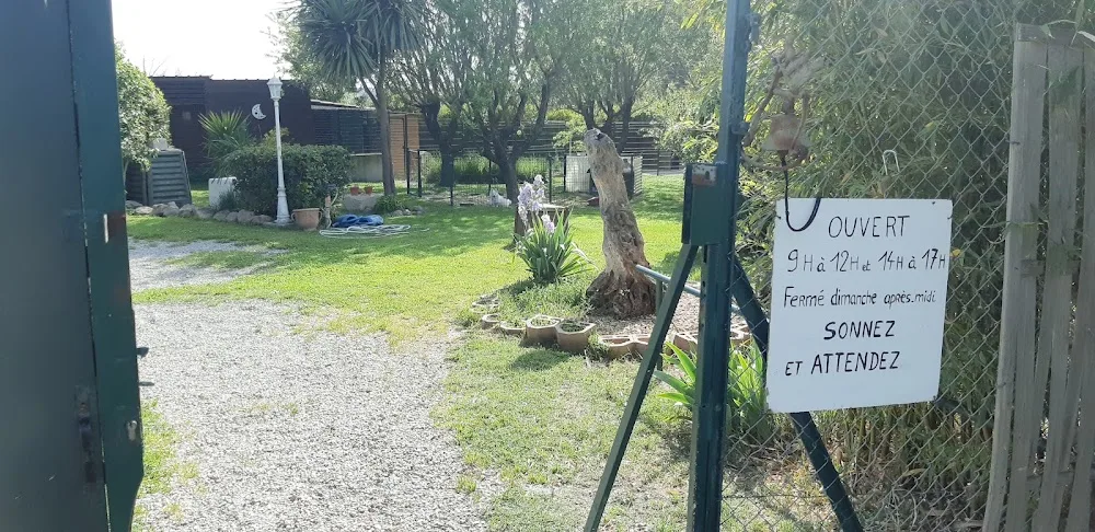 Pension des amandiers - Hérault pet otel görseli 2