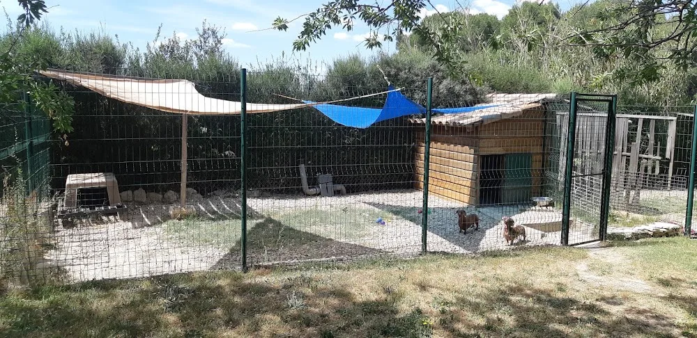 Pension des amandiers - Hérault pet otel görseli 3