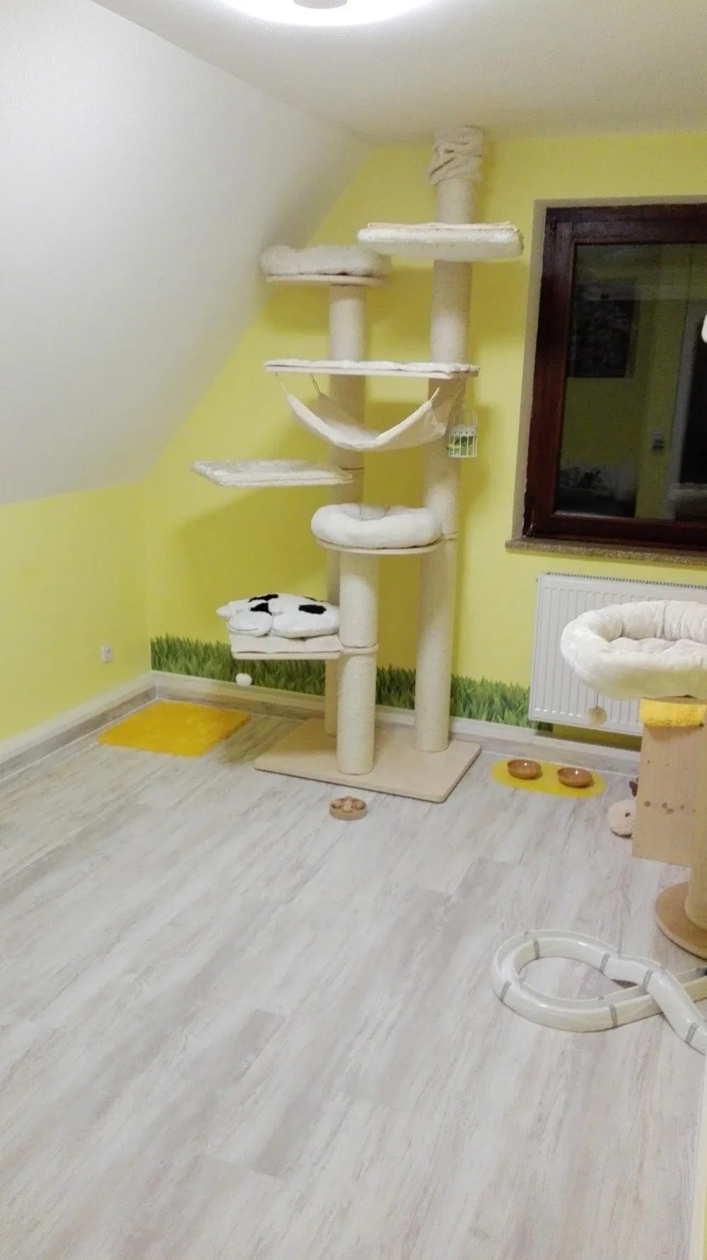 DAS Katzenhotel - Herbstein pet otel görseli 3