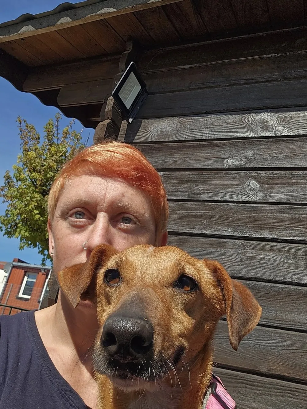 Hundelandhotel Schlüchtern, Ninas Hundebetreuung und mehr UG (haftungsbeschränkt) - Herbstein pet otel görseli 6