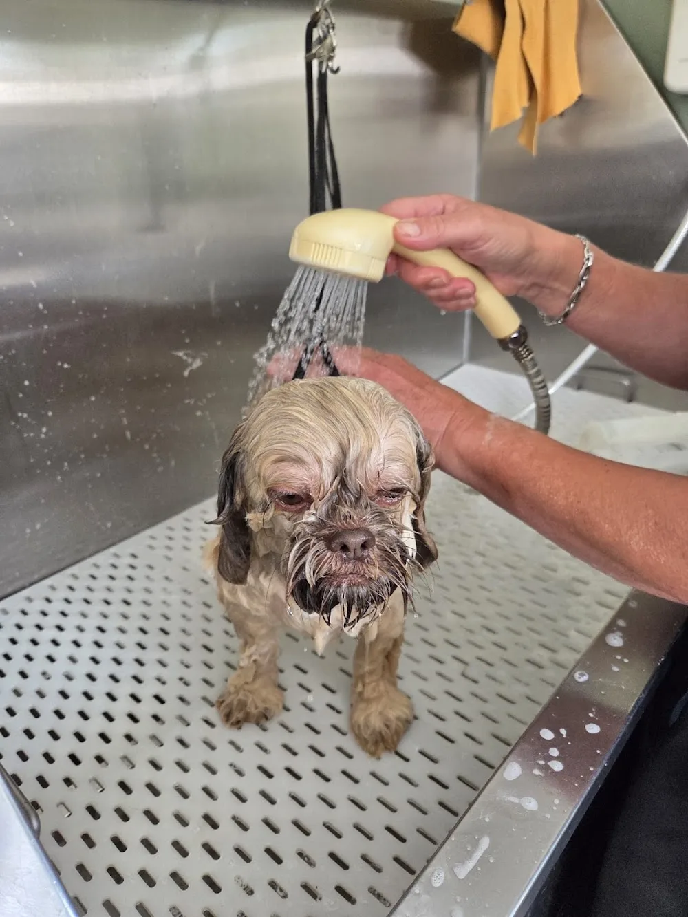 Brickyards Dog Grooming - Herefordshire pet otel