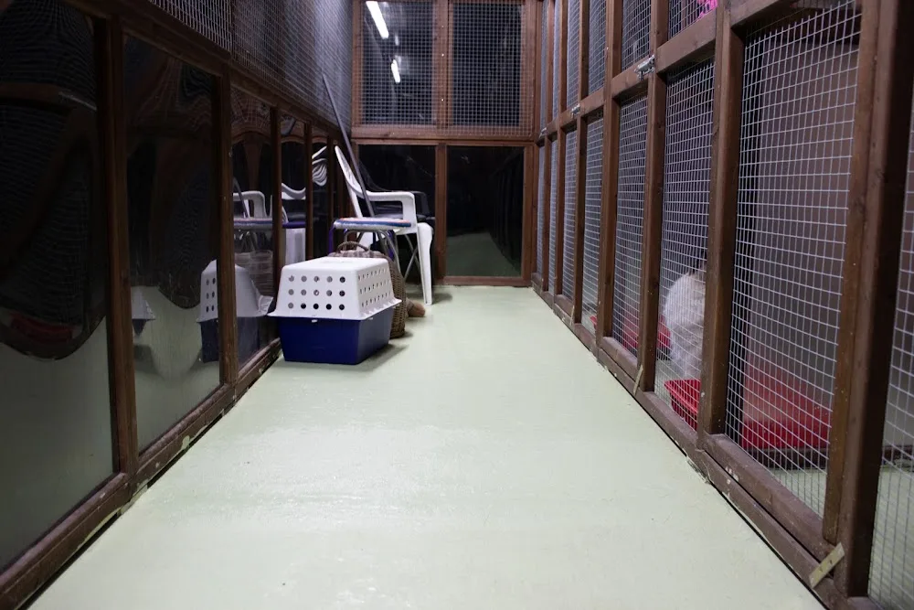 Castle Cattery - Herefordshire pet otel görseli 3
