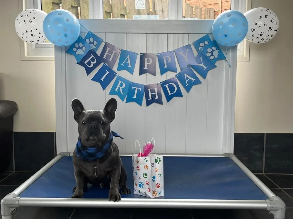 Emma's Zoo Dog Boarding and Day Care - Herefordshire pet otel görseli 3