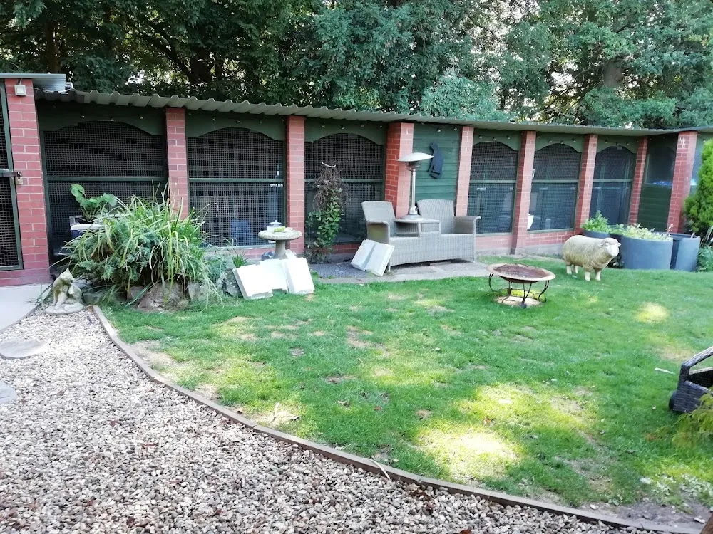 Feline Friendly - Herefordshire pet otel